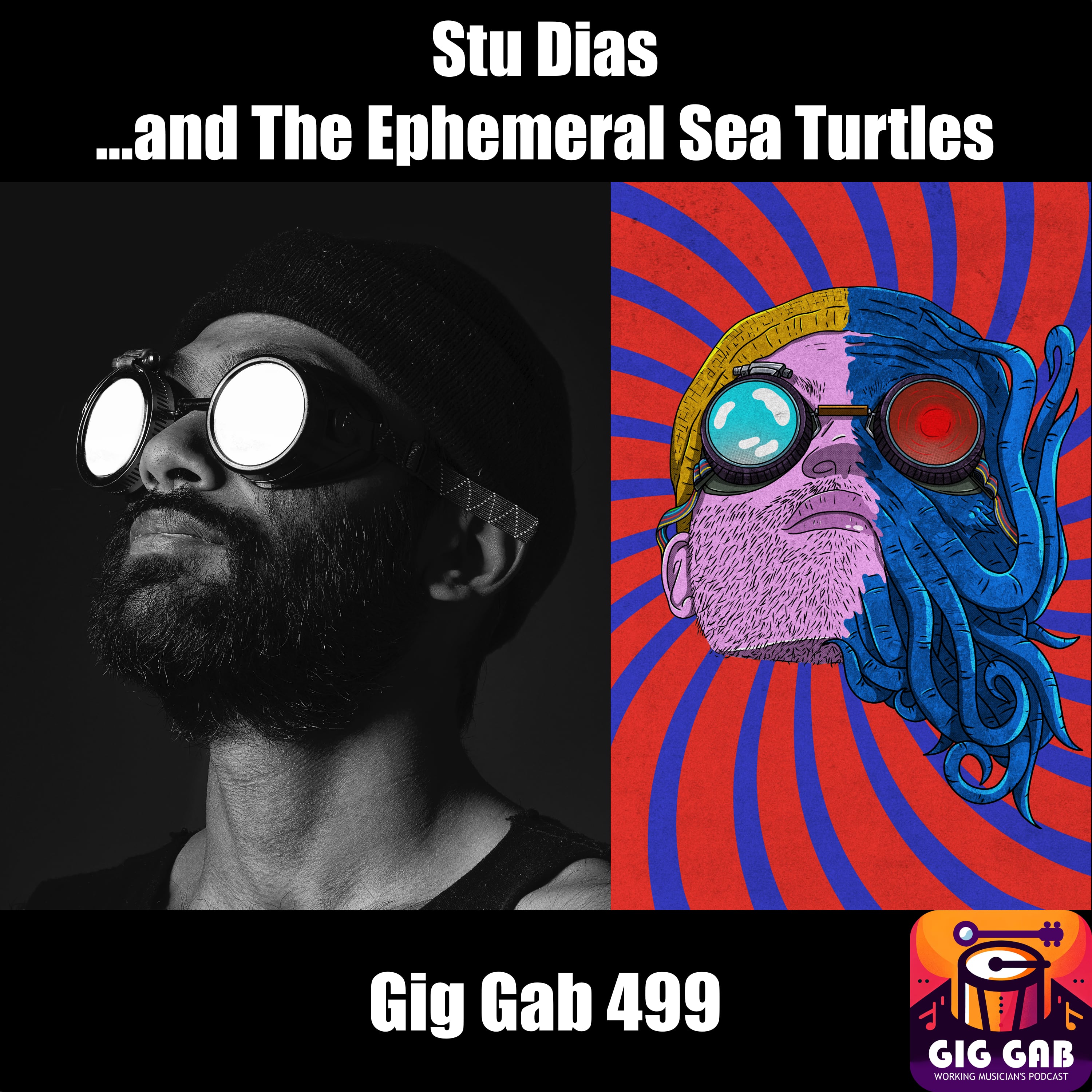 Stu Dias and The Ephemeral Sea Turtles